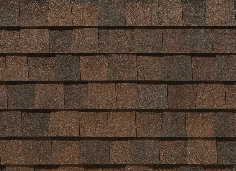 Burnt Sienna color swatch